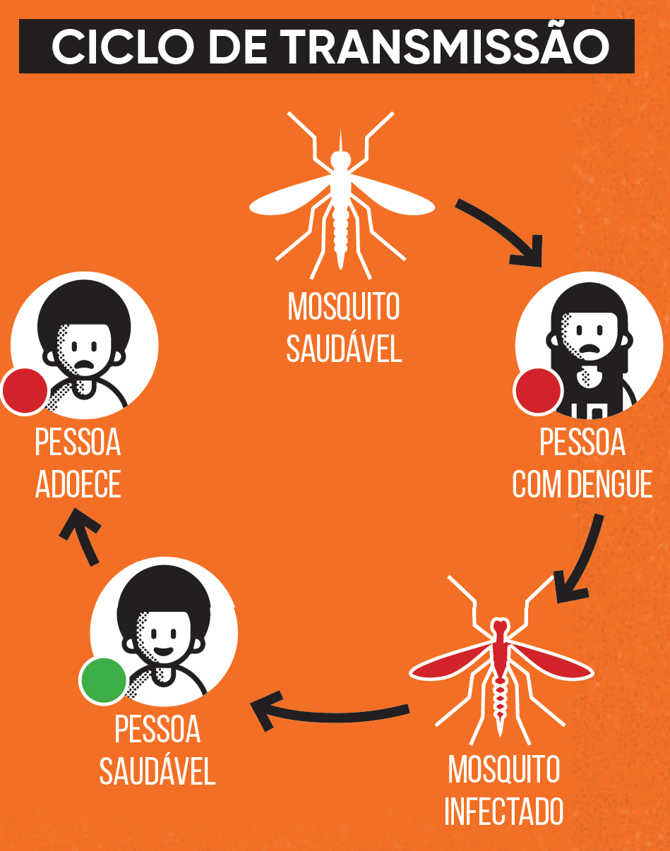 CICLO DE TRANSMISSÃO